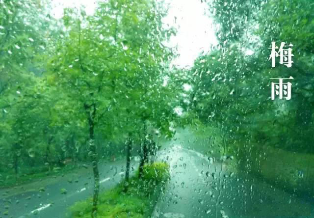 梅雨季節(jié)，如何解決配電箱回潮？給你支招